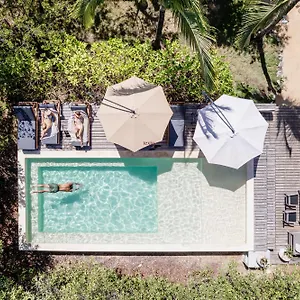 Vida Silvestre , Tulum Mexico